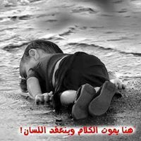 محمود الصالح