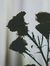 Wafaa Saud