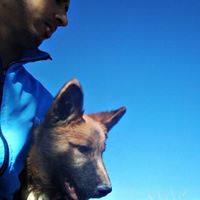 Думєй Ћегмаио