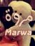 Marwa E...