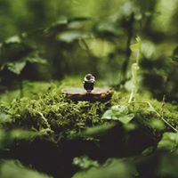 Công Nguyễn Thành