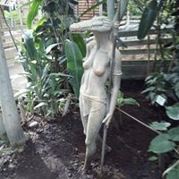 Бегония Чукова