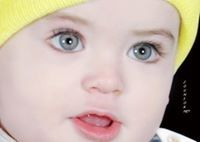 Adm Habib