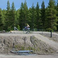 André Oskarsson