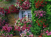 زينب العمري