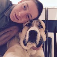 დათო მარგიშვილი