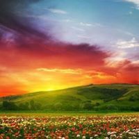 عبدالحكيم الفرجاني