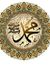 Ayoub D...