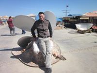 Mostafa Temraz