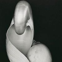 Stuart Moulder
