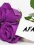 Afaf Sh...