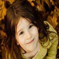 محمود المصرى