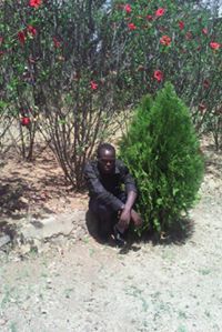 Zawadi Ngailo