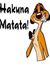 Mayur Z...