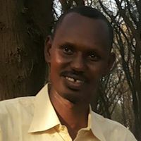 Ahmed Mohd