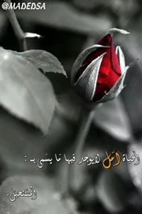 Ibrahim Ahmed