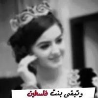 غصن الزيتون