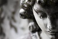 شهرت العلمي