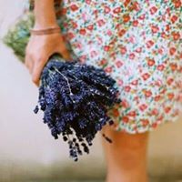 Whïťę ĐŔęąmş