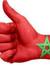 Ayoub I...