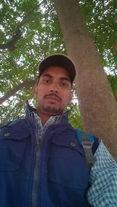 Vikas Tiwari