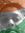Munu Yadav