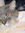 Mumzy43 | 7 comments