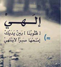 ابوعبدالله الجمل