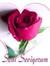 Nesrin ...