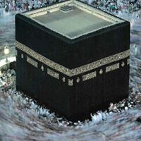 اسامة عبد المؤمن