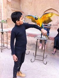 Abdul Moid