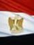 Sameh S...