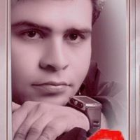 Amr Elsayed