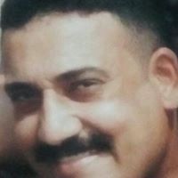 للحياة أنغام