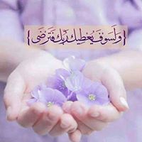 محمود الحوت