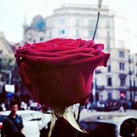 إبراهيم أسامة