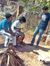 Prateek...