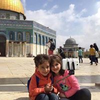 احمد البحيري