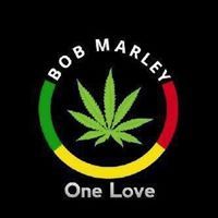 علاء ابوعبا