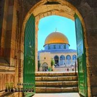 محمد عبد الغفار