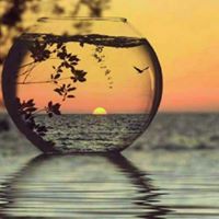 روزا احمدعلي