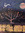 Dani | 3 comments