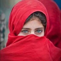 Alaa Mostafa