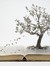 Reader ...