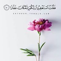 مسلمة فخوره