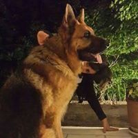 Γαρυφαλλια φυσικα καλλυντικα