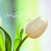 النبع الصافي