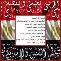 محمد الحسينى