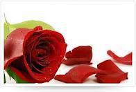 Jayanthi Jay