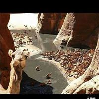 فرج العريفي